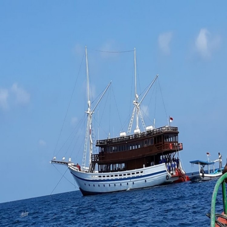 Sensasi Menjelajah Lautan dengan De' Kartini