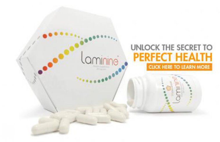 What Is Laminine
